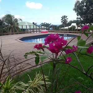 ti-pannye.comcaribbean.com/